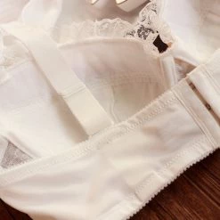 Japanese Lingerie Dreamy Ballerina Bra Set With Plus Sizes