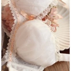 Japanese Lingerie Dreamy Ballerina Bra Set With Plus Sizes