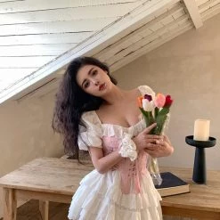 Dni Frozen Dance Of Venus Pink Corset