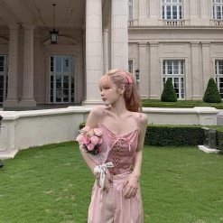 Chic Memories Dry Roses Corset