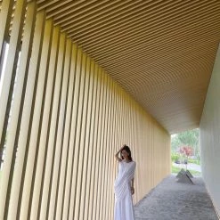 Holiday Collection SHIN KAI The Fairy Midi Dress New Arrivals