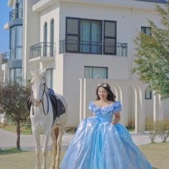 [Couture Wedding] Cinderella Dream Wedding Bridal Dress