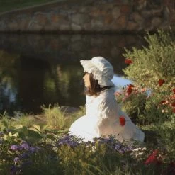 Peiliee Shop New Arrivals Sleepy Bun Babydoll Lolita Fashion Handmade Lace Bunny Ear Hat [Available For Customize]