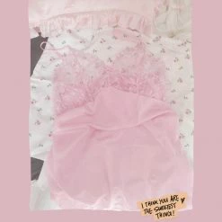 Peiliee Shop New Arrivals [Limited Edition] Yuki No Sakura Lingerie Dress