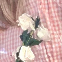 [Premium Selected] Arrived In Dream Land Gingham Dress (designer Rose Candy)