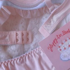 Japanese Lingeire Angel Like Ribbon Bra Set