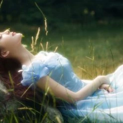 Customized [Tailor Made] Princess Cinderella Dance Ball Party Dress [Premium Selected] New Arrivals