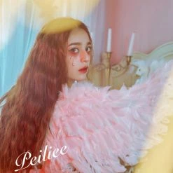 [Sample Sale] Peiliee 2 Years Anniversary The Dreamy Velvet Dress And Cotton Dress Set New Arrivals