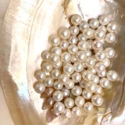 Peiliee Shop Vintage Les Perles