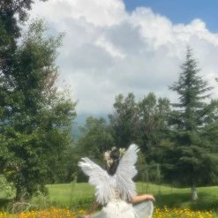 Sorozién Rose Romance Corset