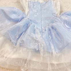 [Customized] The Memory Of Swan Lake Lace Tutu Dress New Arrivals