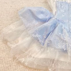 [Customized] The Memory Of Swan Lake Lace Tutu Dress New Arrivals