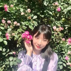 Rose Candy Midnight Paris Shirt New Arrivals