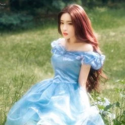 Customized [Tailor Made] Princess Cinderella Dance Ball Party Dress [Premium Selected] New Arrivals