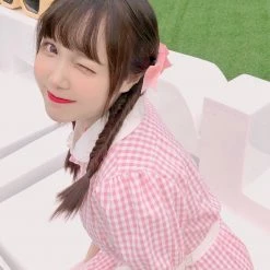 [Premium Selected] Arrived In Dream Land Gingham Dress (designer Rose Candy)