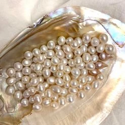 Peiliee Shop Vintage Les Perles