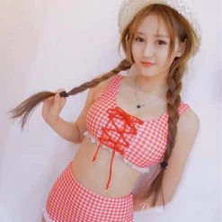 Japanese Lingerie Genki Strawberry Gingham Bikini Set High Waist