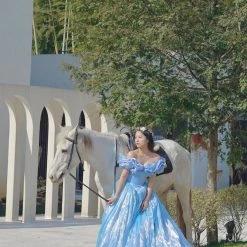 [Couture Wedding] Cinderella Dream Wedding Bridal Dress