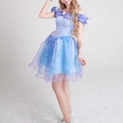 Customized [Tailor Made] Princess Cinderella Dance Ball Party Dress [Premium Selected] New Arrivals