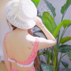 Japanese Lingerie Genki Strawberry Gingham Bikini Set High Waist