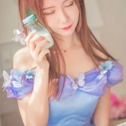 Customized [Tailor Made] Princess Cinderella Dance Ball Party Dress [Premium Selected] New Arrivals