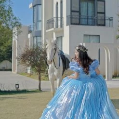 [Couture Wedding] Cinderella Dream Wedding Bridal Dress