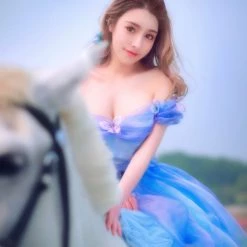 Customized [Tailor Made] Princess Cinderella Dance Ball Party Dress [Premium Selected] New Arrivals