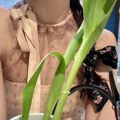 Peiliee Shop X Arilf New Arrivals [Exclusive To PeilieeShop] Bambi Poka Mini Dress