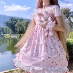 [Mid Season SALE] La Rose Rouge French Lace Dress (Design By Canmi)