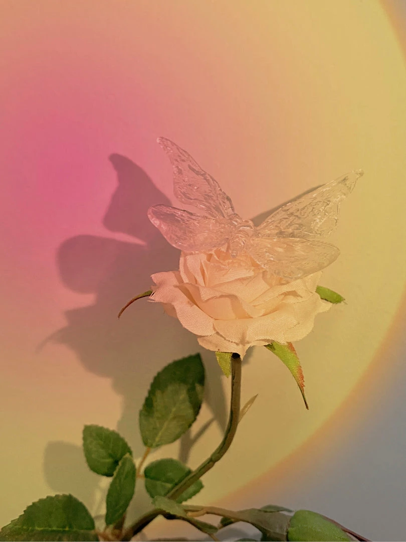 Peiliee Shop The Moment Of My Life Hand Crafted Glass Butterfly Ring 12 Peiliee Shop The Moment Of My Life Hand Crafted Glass Butterfly Ring