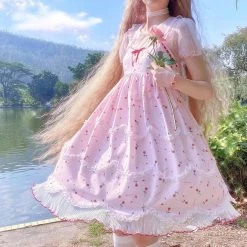 [Mid Season SALE] La Rose Rouge French Lace Dress (Design By Canmi)