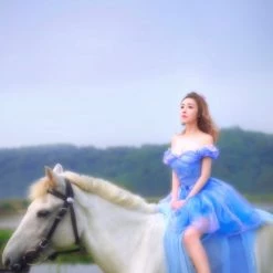 Customized [Tailor Made] Princess Cinderella Dance Ball Party Dress [Premium Selected] New Arrivals