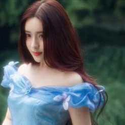 Customized [Tailor Made] Princess Cinderella Dance Ball Party Dress [Premium Selected] New Arrivals