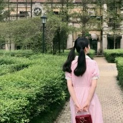 [Premium Selected] Arrived In Dream Land Gingham Dress (designer Rose Candy)