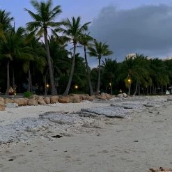 Boss JIA [Premium Selected] My Favorite Season Floral Mini Dress