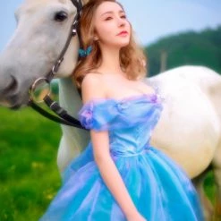 Customized [Tailor Made] Princess Cinderella Dance Ball Party Dress [Premium Selected] New Arrivals