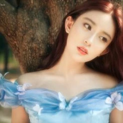 Customized [Tailor Made] Princess Cinderella Dance Ball Party Dress [Premium Selected] New Arrivals