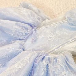 [Customized] The Memory Of Swan Lake Lace Tutu Dress New Arrivals