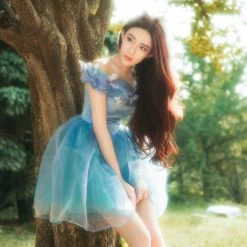 Customized [Tailor Made] Princess Cinderella Dance Ball Party Dress [Premium Selected] New Arrivals