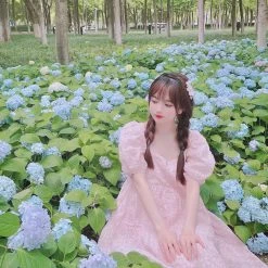 Rose Candy Rose Love Baby Doll Puff Sleeves Dress