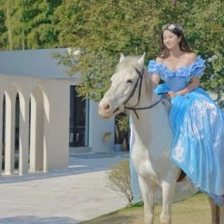 [Couture Wedding] Cinderella Dream Wedding Bridal Dress