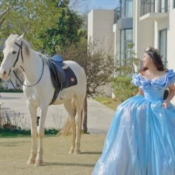 [Couture Wedding] Cinderella Dream Wedding Bridal Dress