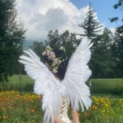 Sorozién Rose Romance Corset