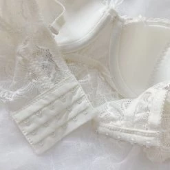 Japanese Lingeire New Arrivals [Mid Season SALE] Dreamy Butterfly Bra Set