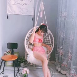Japanese Lingerie Genki Strawberry Gingham Bikini Set High Waist