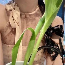 Peiliee Shop X Arilf [Sweden Warehouse] Bambi Poka Mini Dress