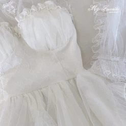 My Favorite 2022 Lost In Rose Land Romantic Mini Dress